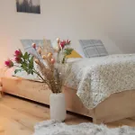 Nora * Dolní Morava