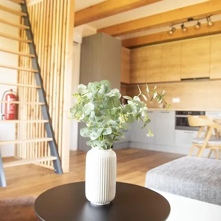 Nora Apartment Dolni Morava