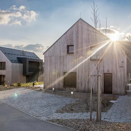 Nora Daire